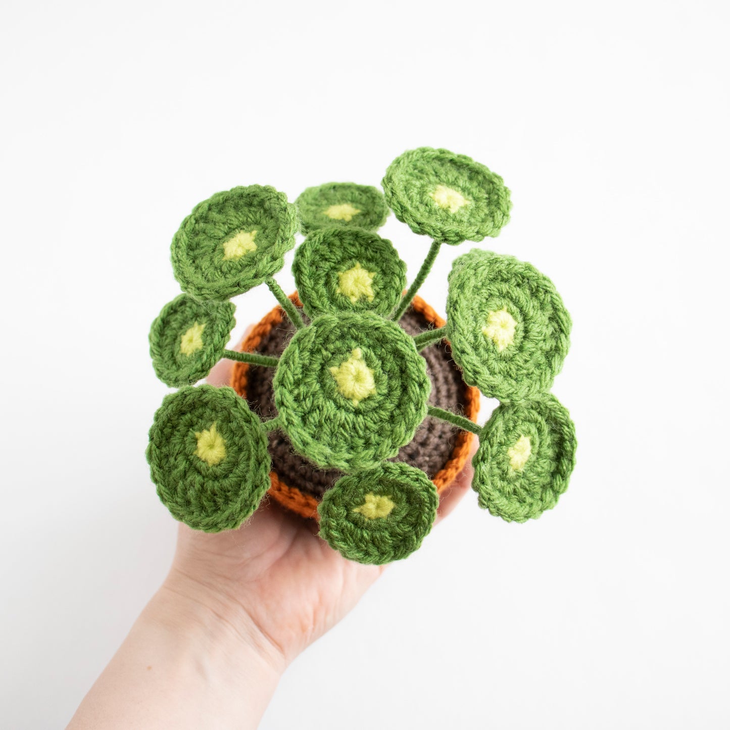 Crochet Amigurumi Pilea (Chinese Money Plant)- Ready to Ship