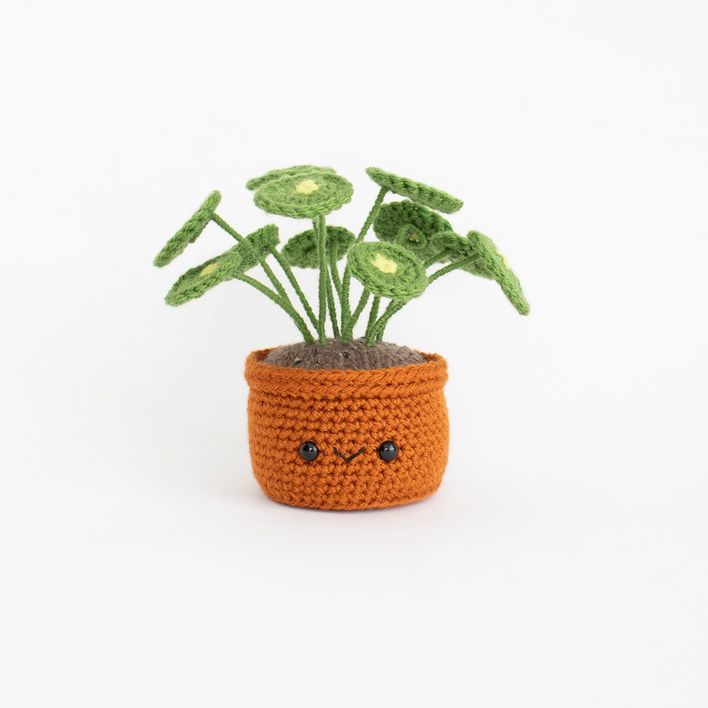 Crochet Amigurumi Pilea (Chinese Money Plant)- Ready to Ship