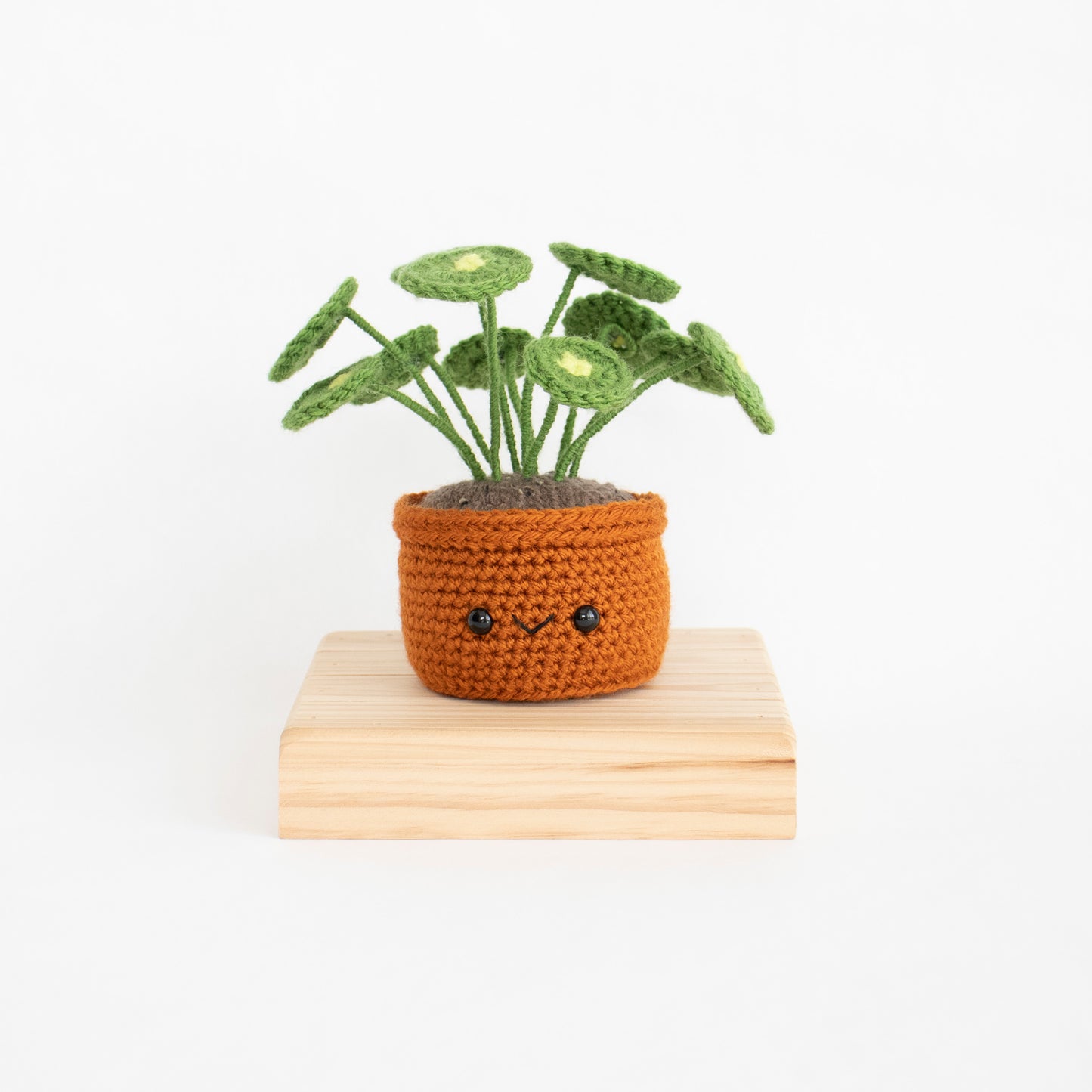 Crochet Amigurumi Pilea (Chinese Money Plant)- Ready to Ship