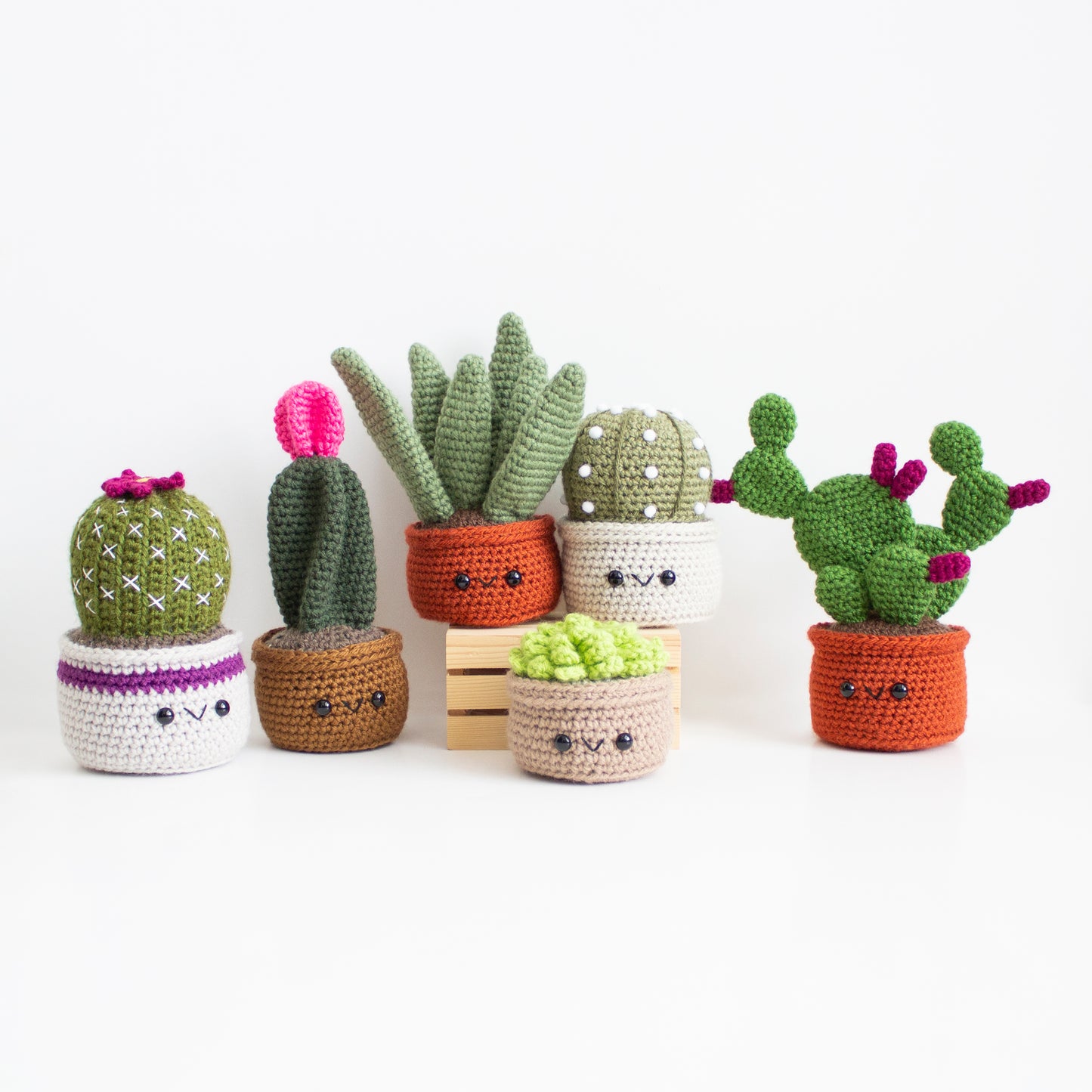 Crochet Succulent Pattern Pack v1 - Cactus Amigurumi