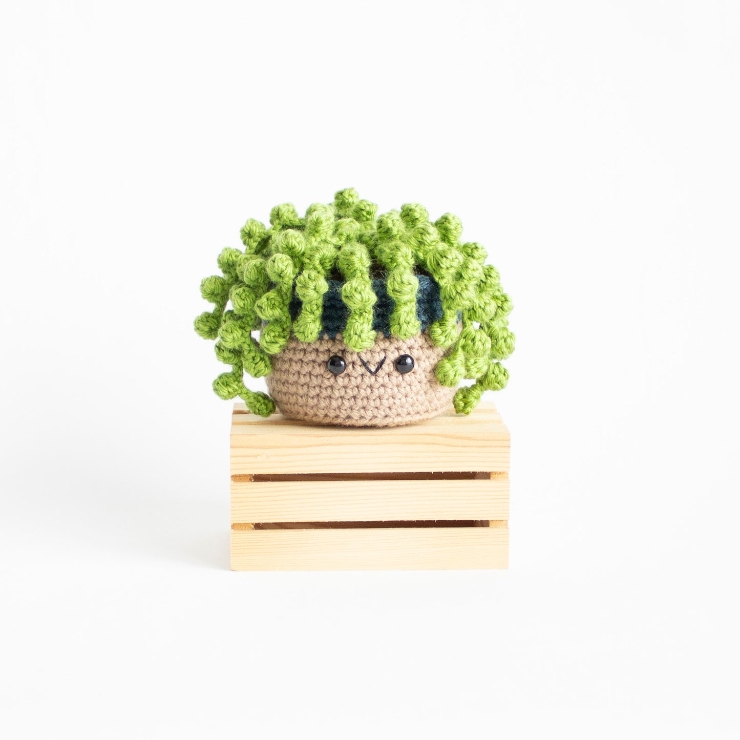 String of Pearls Easy Crochet Pattern - DIY Succulent