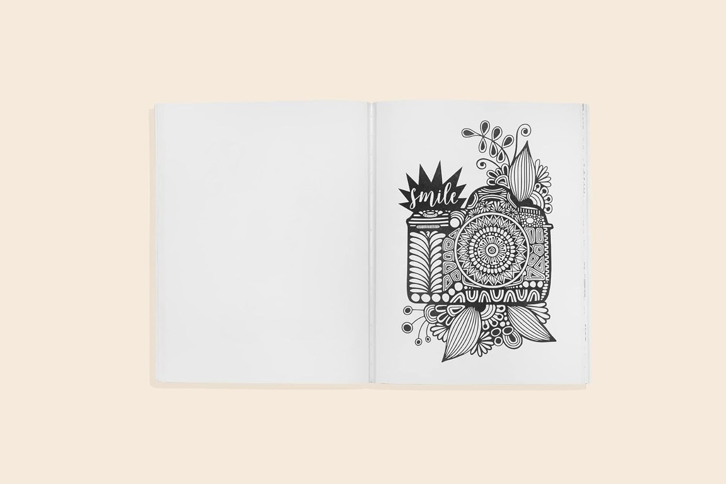 Bundle #108- Dream In Color- Coloring Book w/ Stickers