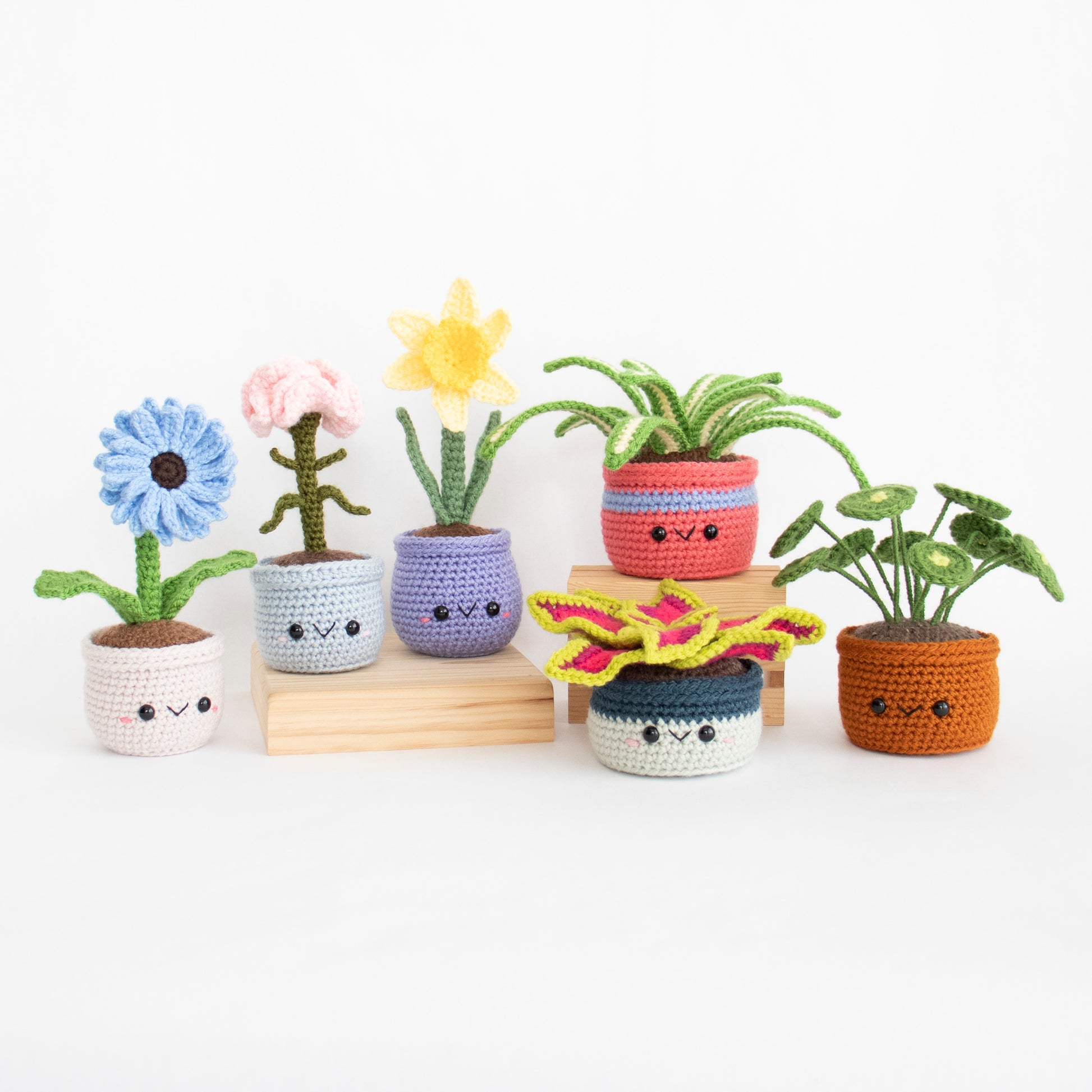 crocheted house plants Crochet Pattern: House Plants and Flowers Bundle Volume 1, PDF Amigurumi Pattern