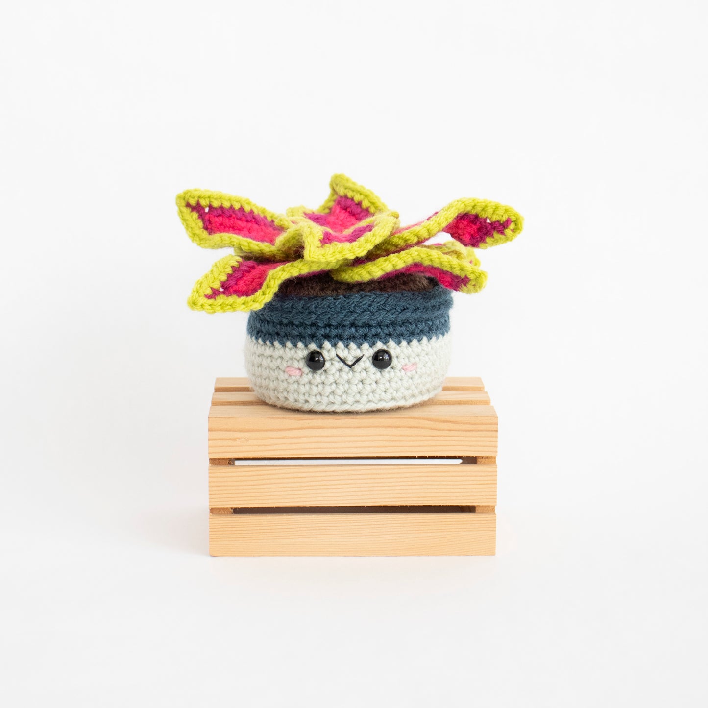 Crochet Pattern: Coleus Plant, PDF Amigurumi Pattern