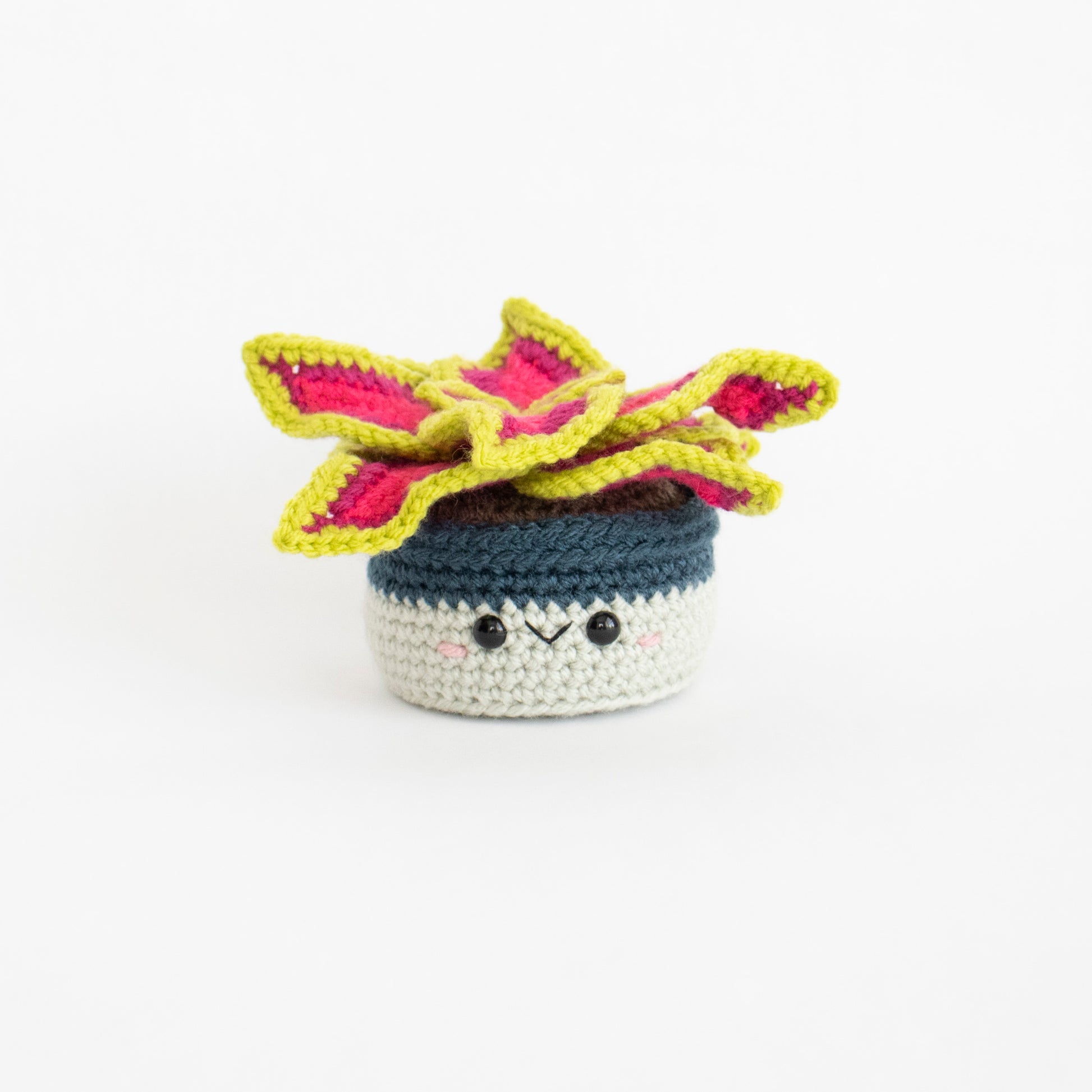 crocheted house plants Crochet Pattern: House Plants and Flowers Bundle Volume 1, PDF Amiguru – A Menagerie of Stitches