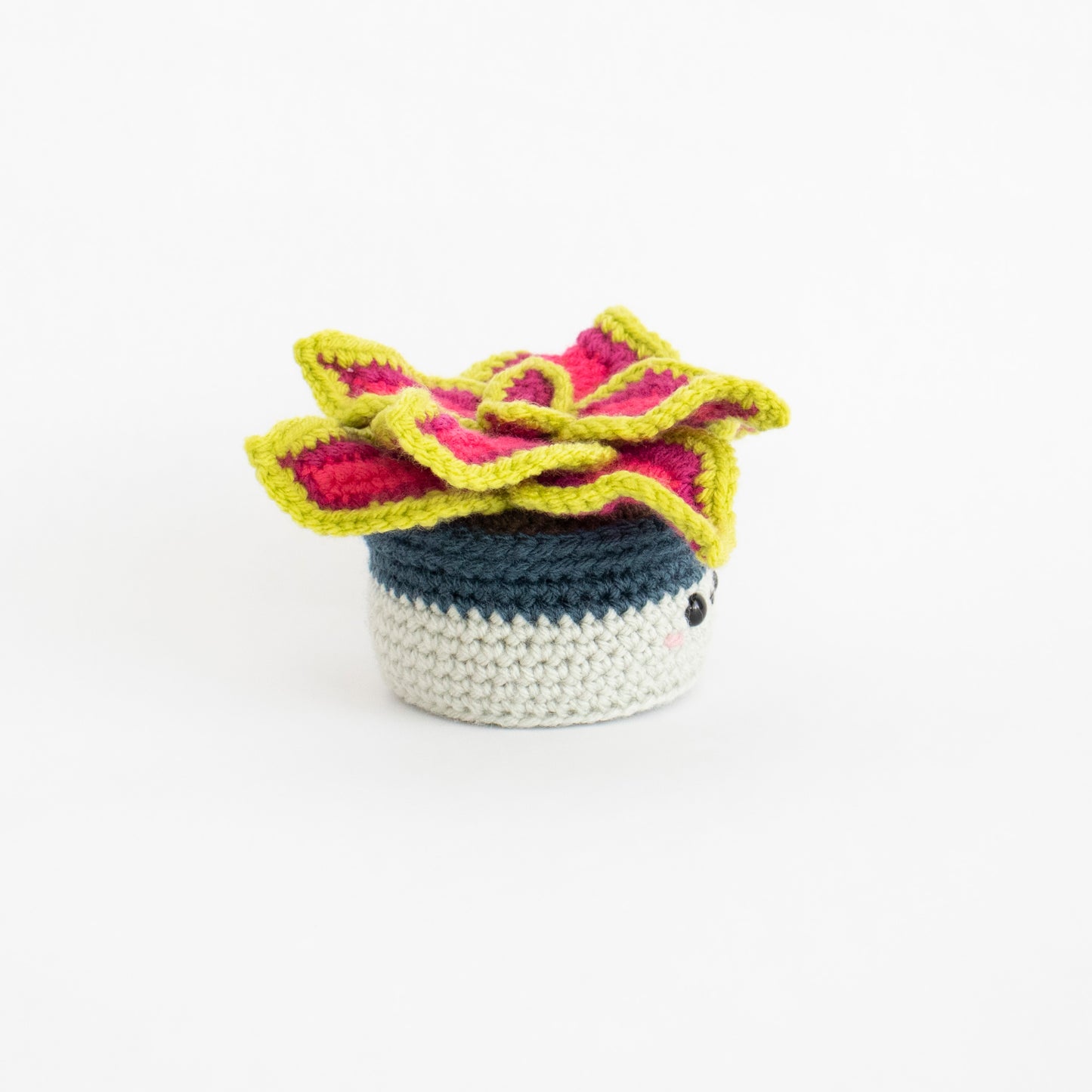 Crochet Pattern: Coleus Plant, PDF Amigurumi Pattern