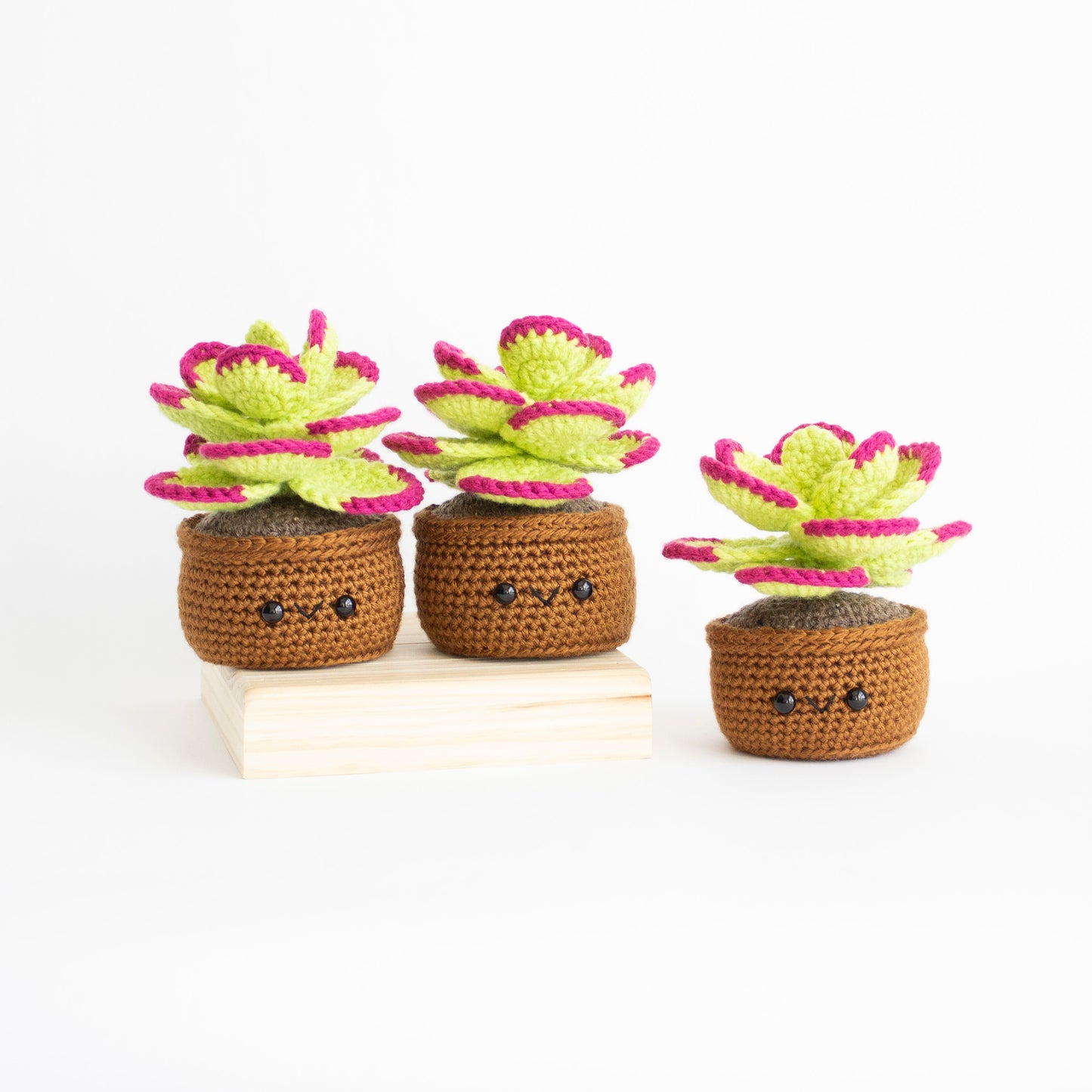 Crochet Pattern: Flapjack Succulent, PDF Amigurumi Pattern