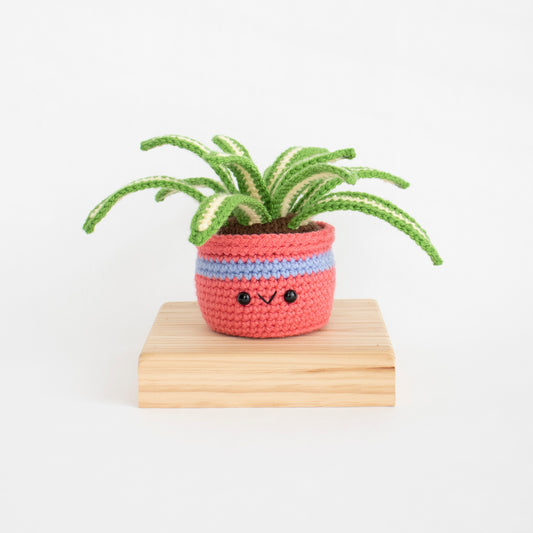 Crochet Amigurumi Spider Plant- Ready to Ship