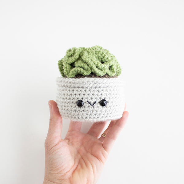 Brain Cactus - Succulent Crochet Pattern - Amigurumi House Plant