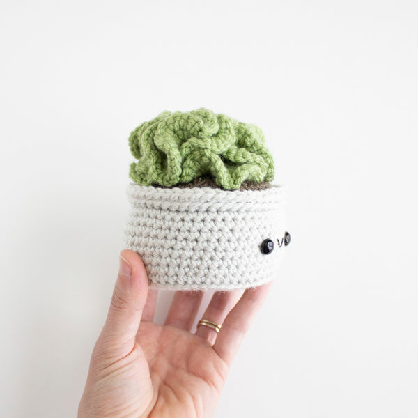 Brain Cactus - Succulent Crochet Pattern - DIY House Plant Pot