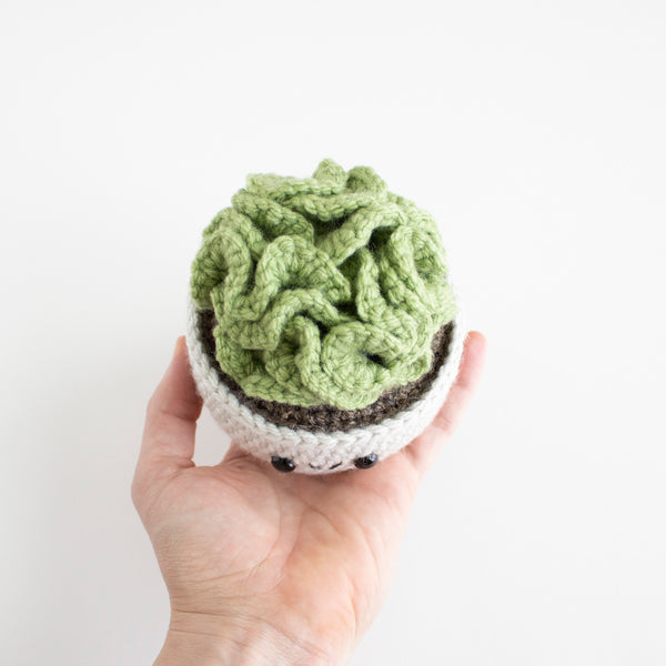 Brain Cactus - Easy Crochet Pattern - DIY House Plant Leafs