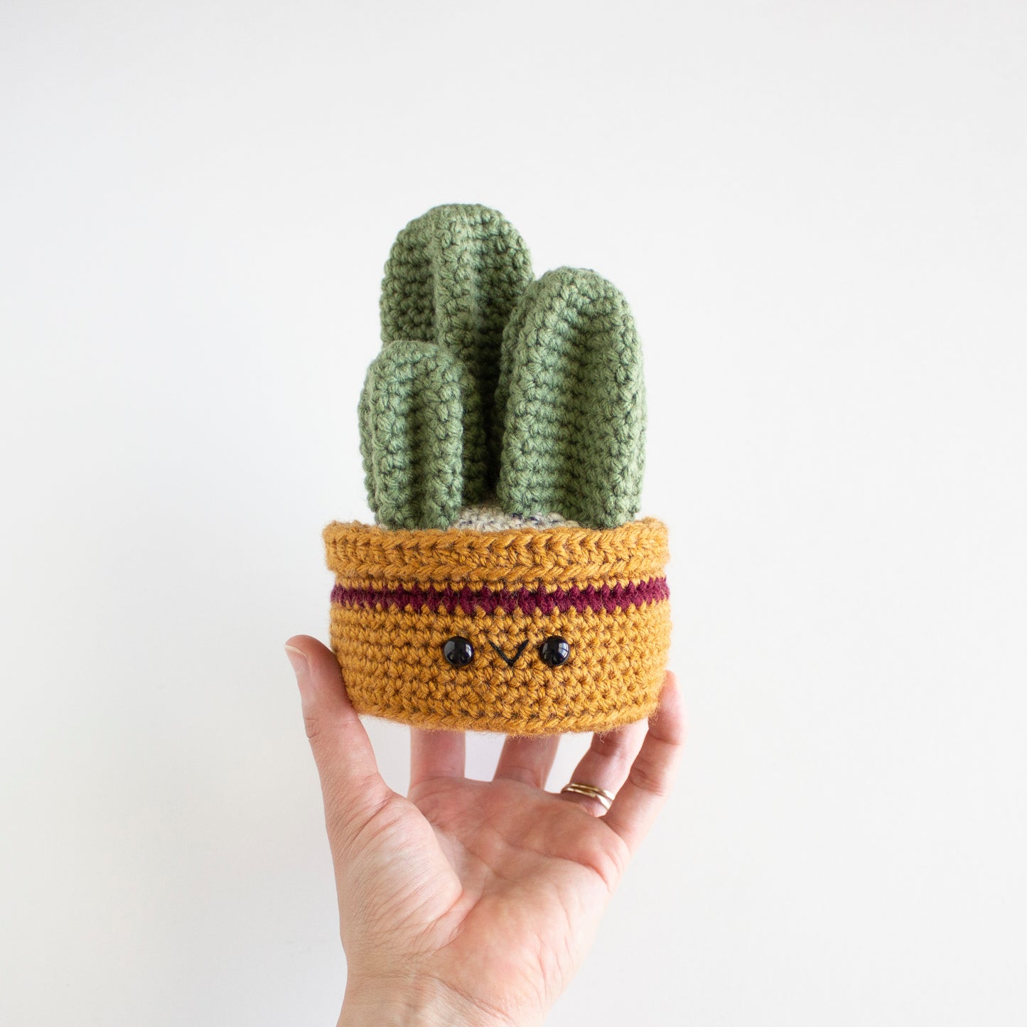 Fencepost Succulent - Crochet House Plant