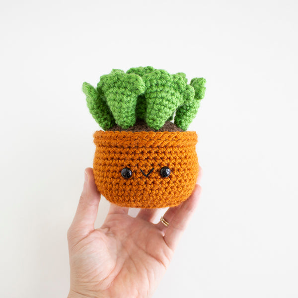 Key Lime Pie Crochet Pattern - Amigurumi Succulent