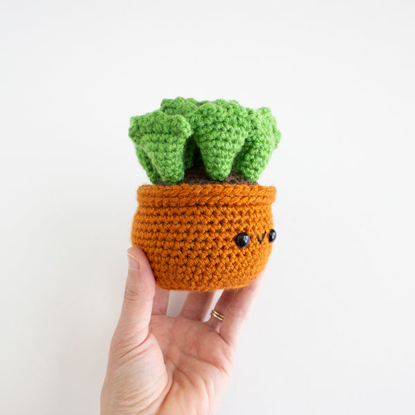Succulent Crochet Pattern - Cactus Plant
