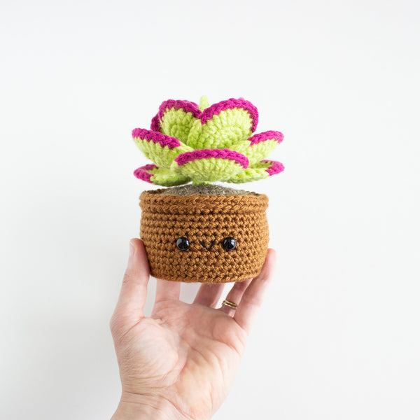 Flapjack Succulent Easy Crochet Pattern - Desert Garden