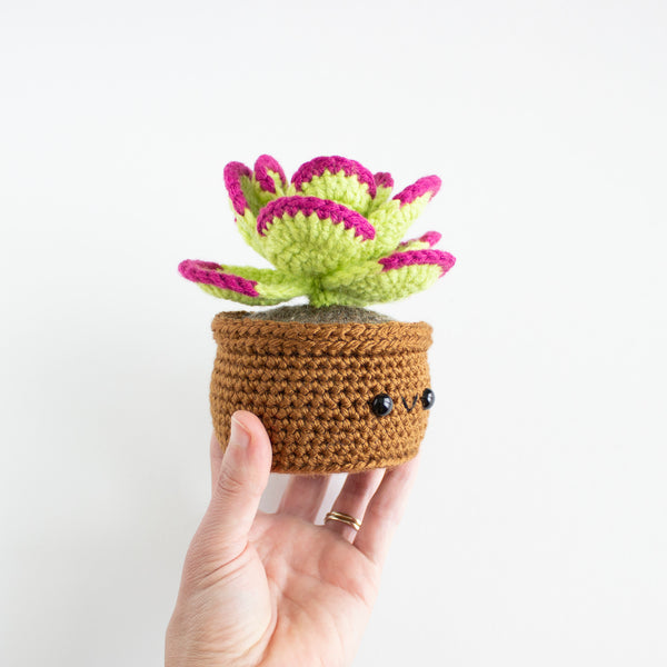 Crochet Flapjack Amigurumi Pattern - Cactus House Plant