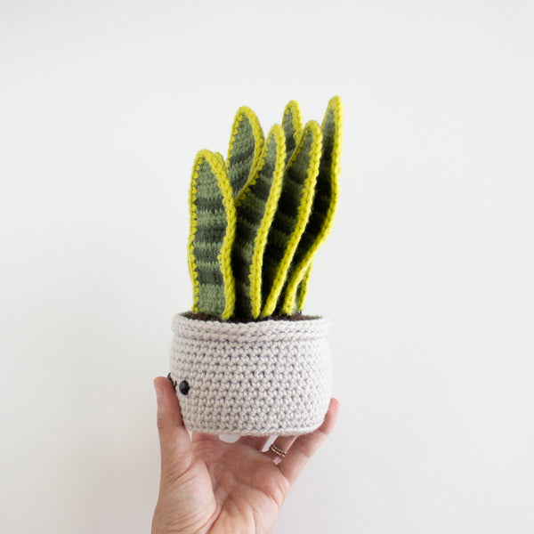 Crochet Snake Plant Pattern - Succulent Plant Pot