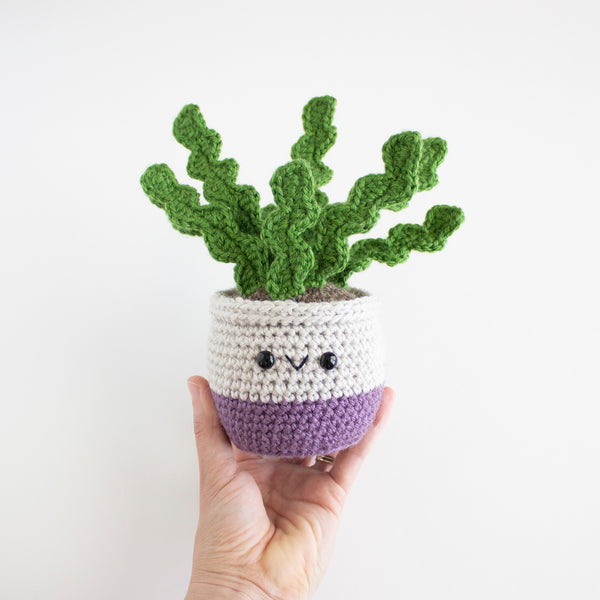 Amigurumi Succulent House Plant Pattern - Crochet Plushie