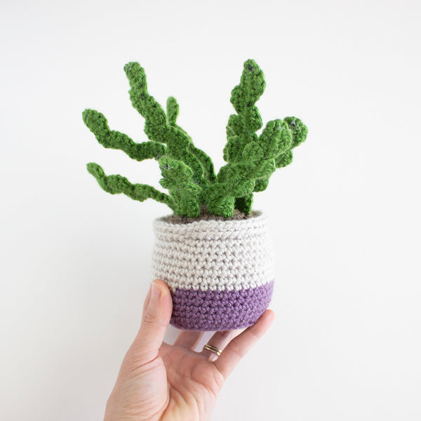 Succulent Plant Pot - Fishbone Cactus Crochet Pattern