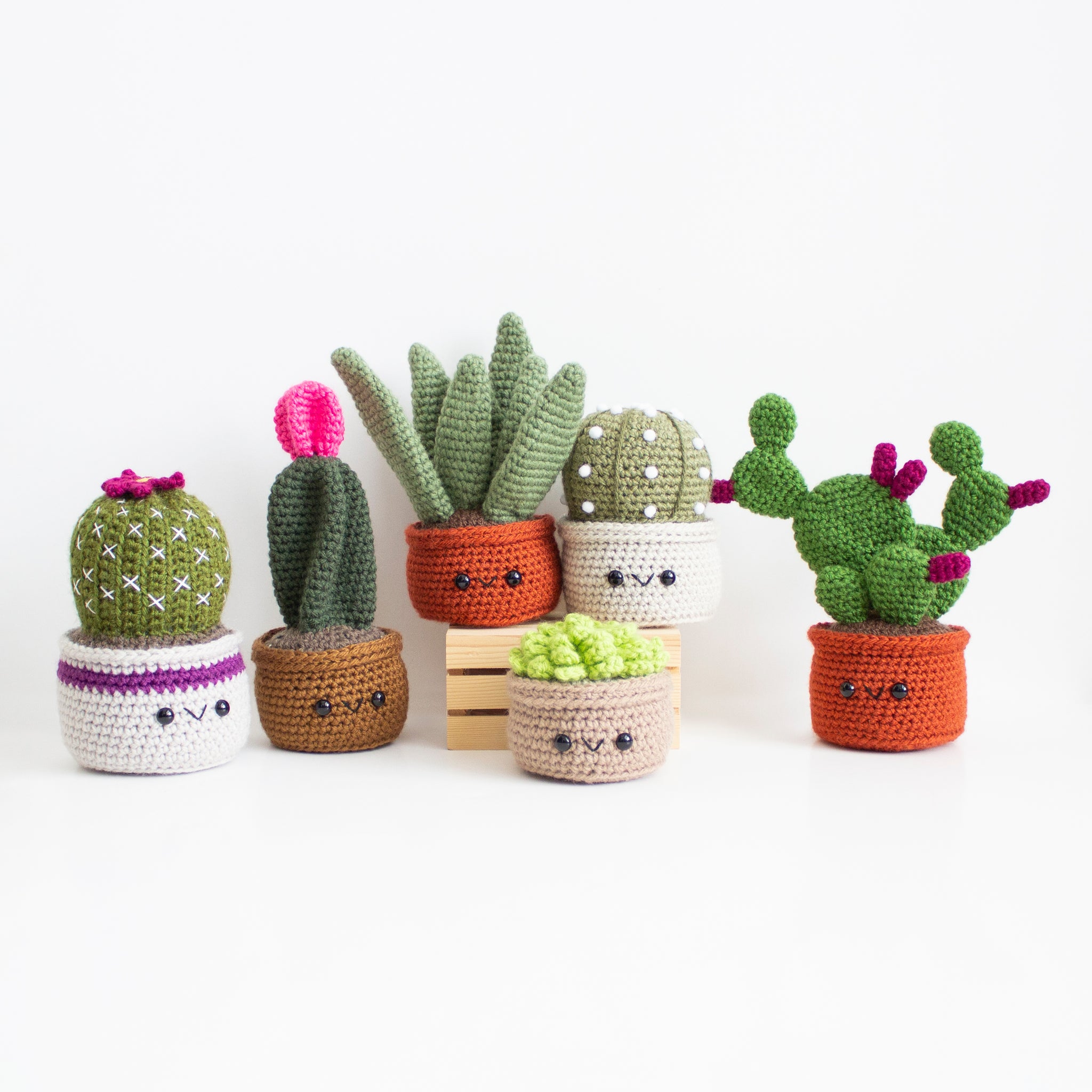 Succulent Cactus Crochet Pattern Pack - Amigurumi House Plants v1 - Desert