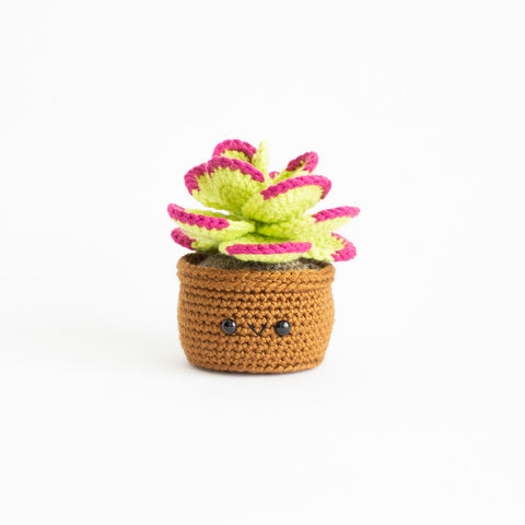 Flapjack Succulent Crochet Pattern - DIY House Plant