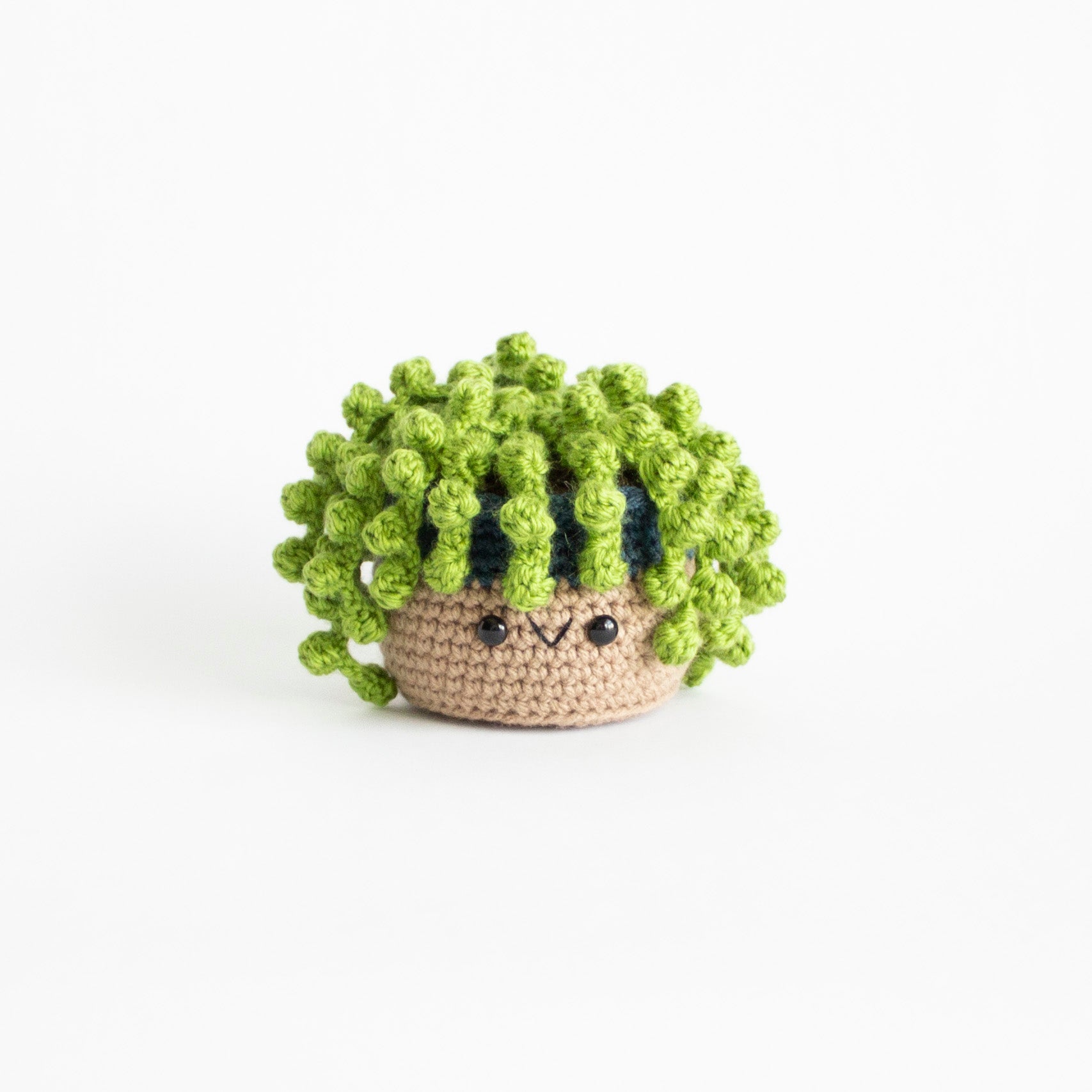 succulent amigurumi Crochet Pattern: Cactus and Succulent Pattern Bundle Volume 2, PDF Ami – A Menagerie of Stitches