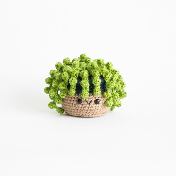 String of Pearls Amigurumi Pattern - DIY Hanging Cactus