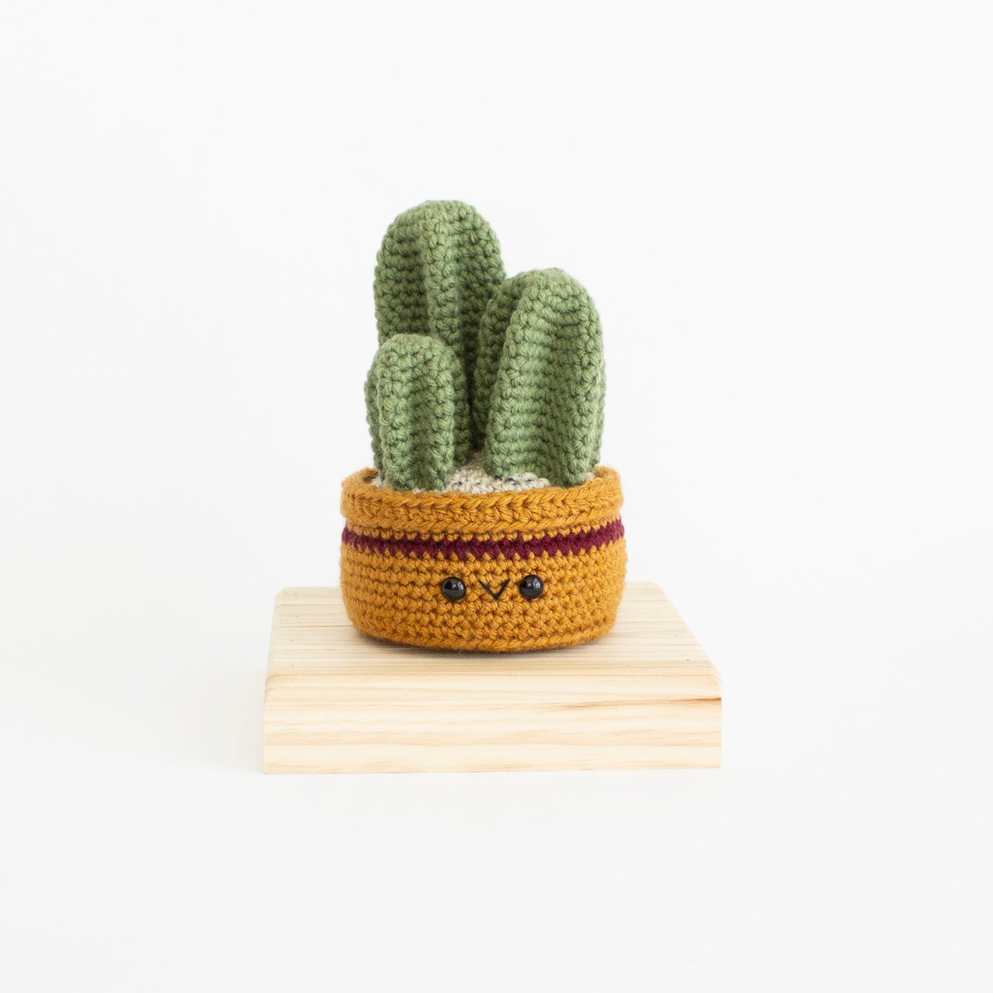 Fencepost House Plant Crochet Pattern - Amigurumi Crafts