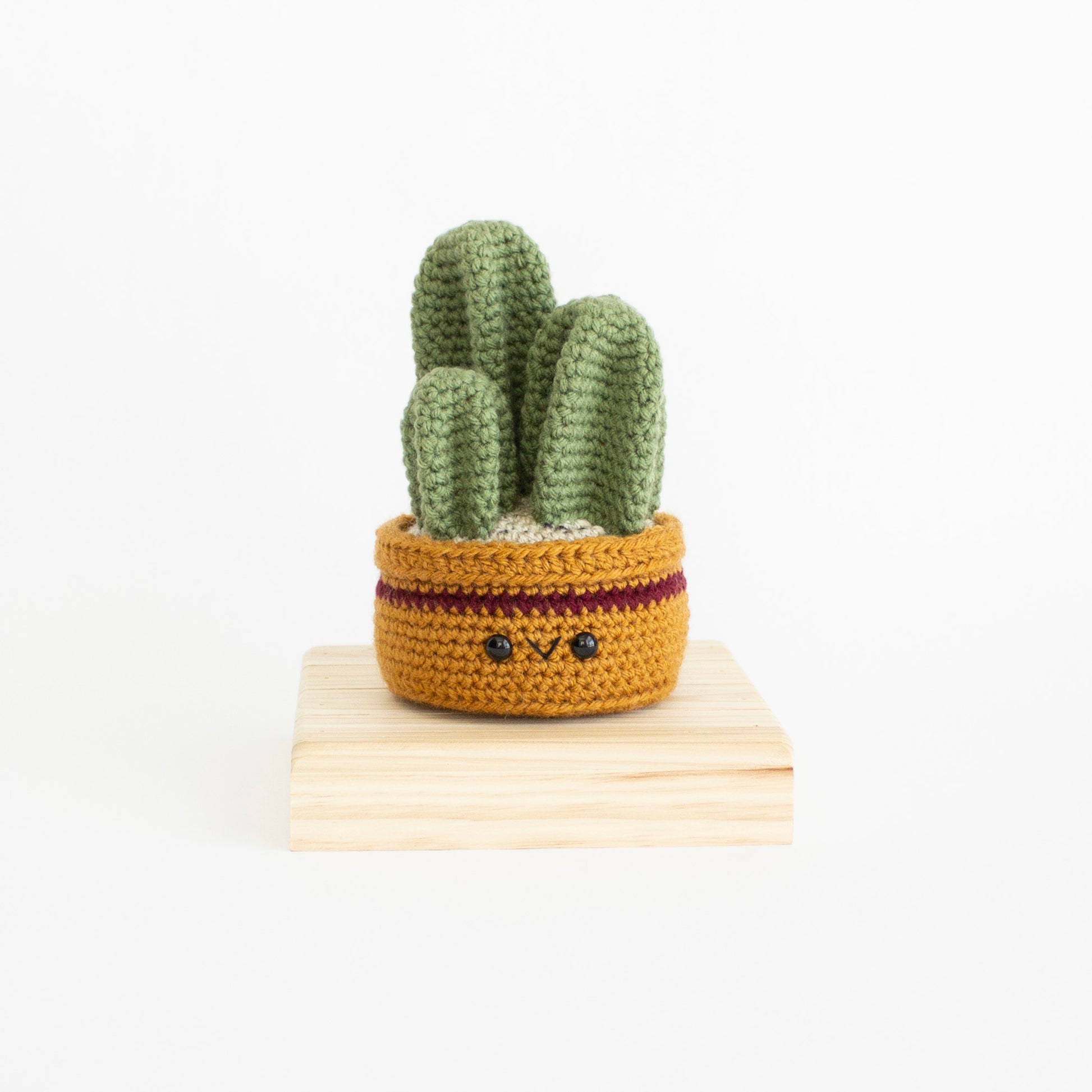 Fencepost House Plant Crochet Pattern - Amigurumi Crafts