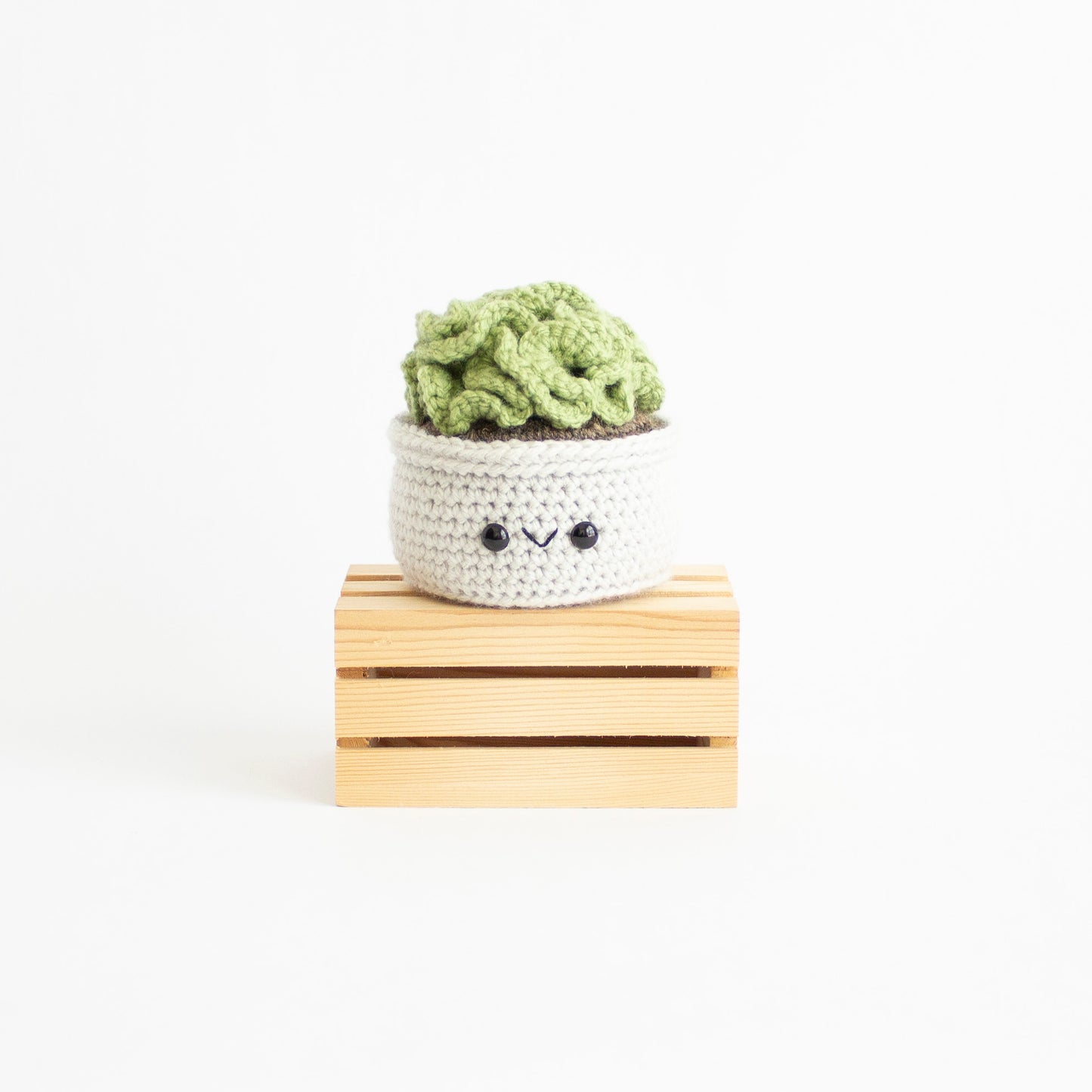 Brain Cactus - Succulent Crochet Pattern