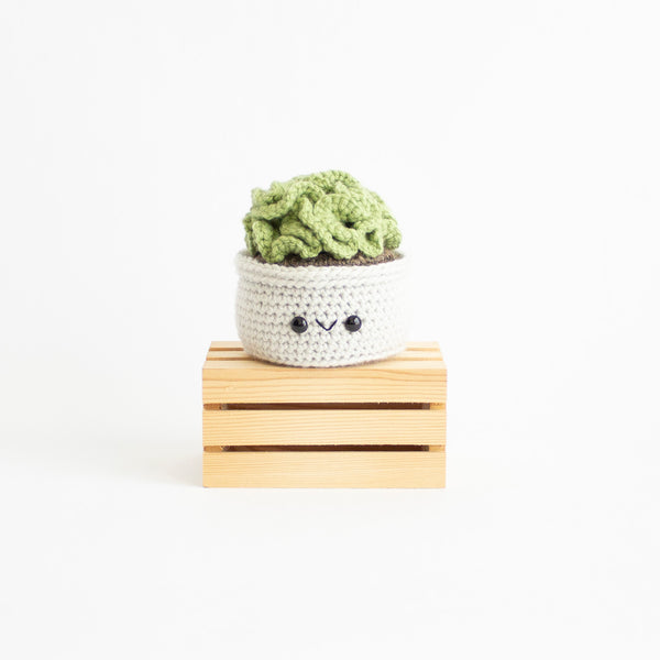 Brain Cactus - Succulent Crochet Pattern