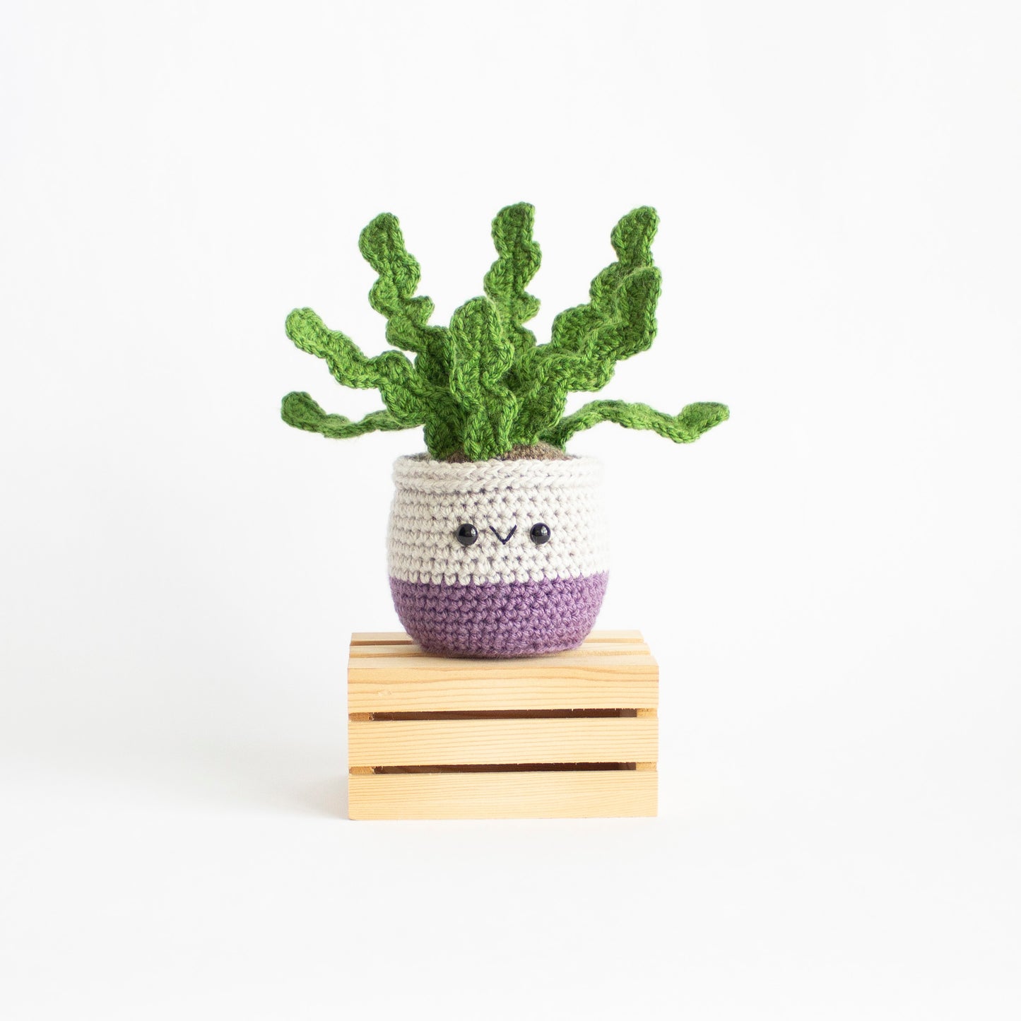 DIY Fishbone Cactus Amigurumi Pattern - House Plant Plushie