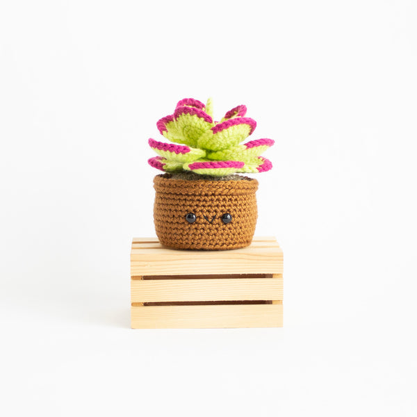 Flapjack Succulent Amigurumi Pattern - DIY Plant Crafts