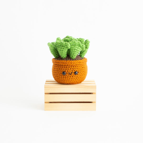 Key Lime Pie Crochet Pattern - Desert Plant