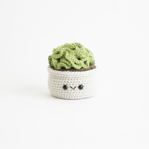 Crochet Pattern: Brain Cactus, PDF Amigurumi Pattern