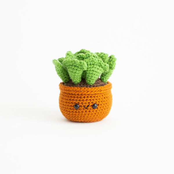 Keylime Pie Succulent Crochet Pattern - From Amigurumi Cactus Pack v2