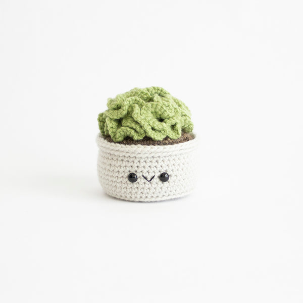Brain Cactus Crochet Pattern - From Amigurumi Succulent Pack v2