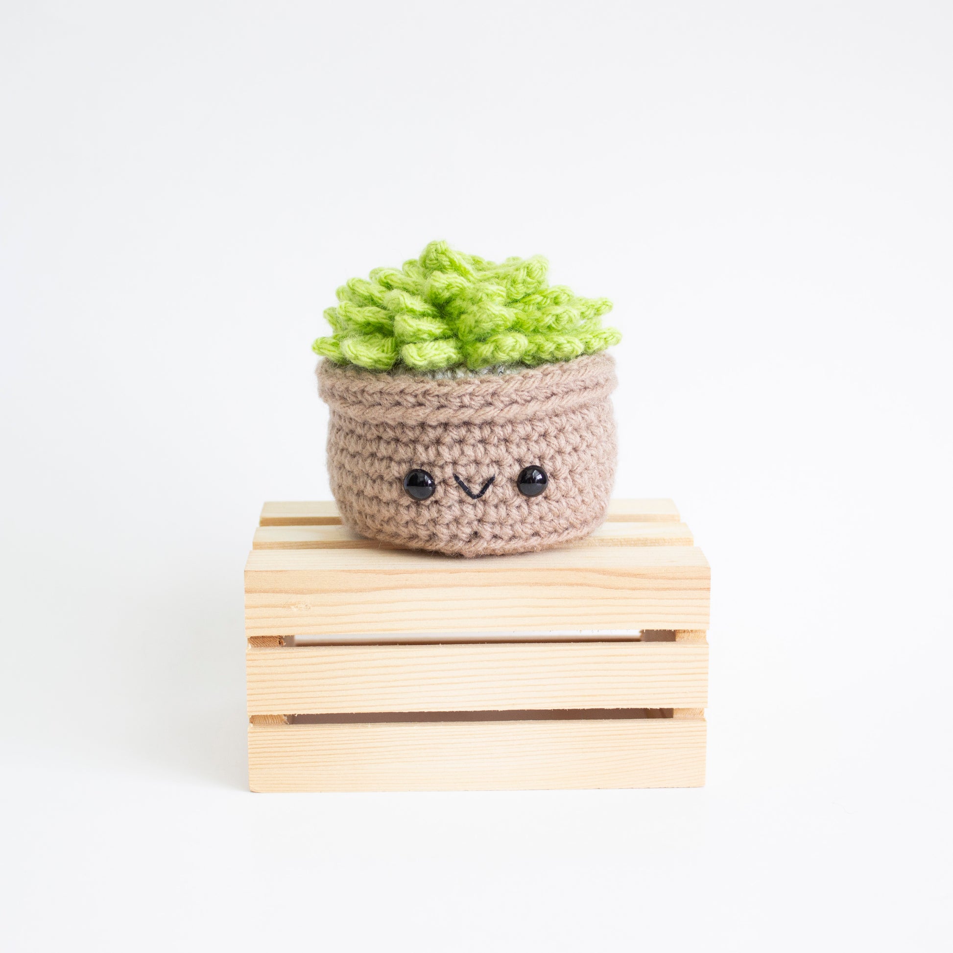 crochet succulent pot Succulent Crochet Pattern, Amigurumi Succulent Pattern – A Menagerie of Stitches