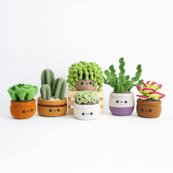 Succulent Cactus Crochet Pattern Pack - Amigurumi House Plants v2 - Desert