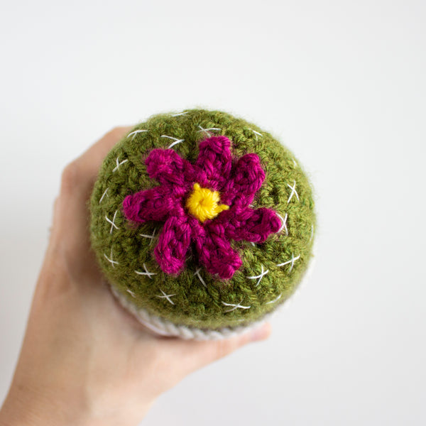 Crochet Ball Cactus Flower Pattern - Succulent House Plant