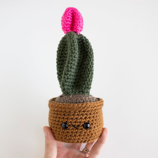 Moonball Crochet Pattern - Amigurumi Decor - House Plant