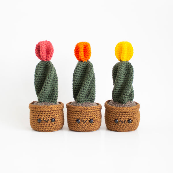 Moonball Cactus Easy Crochet Pattern - Succulent Garden