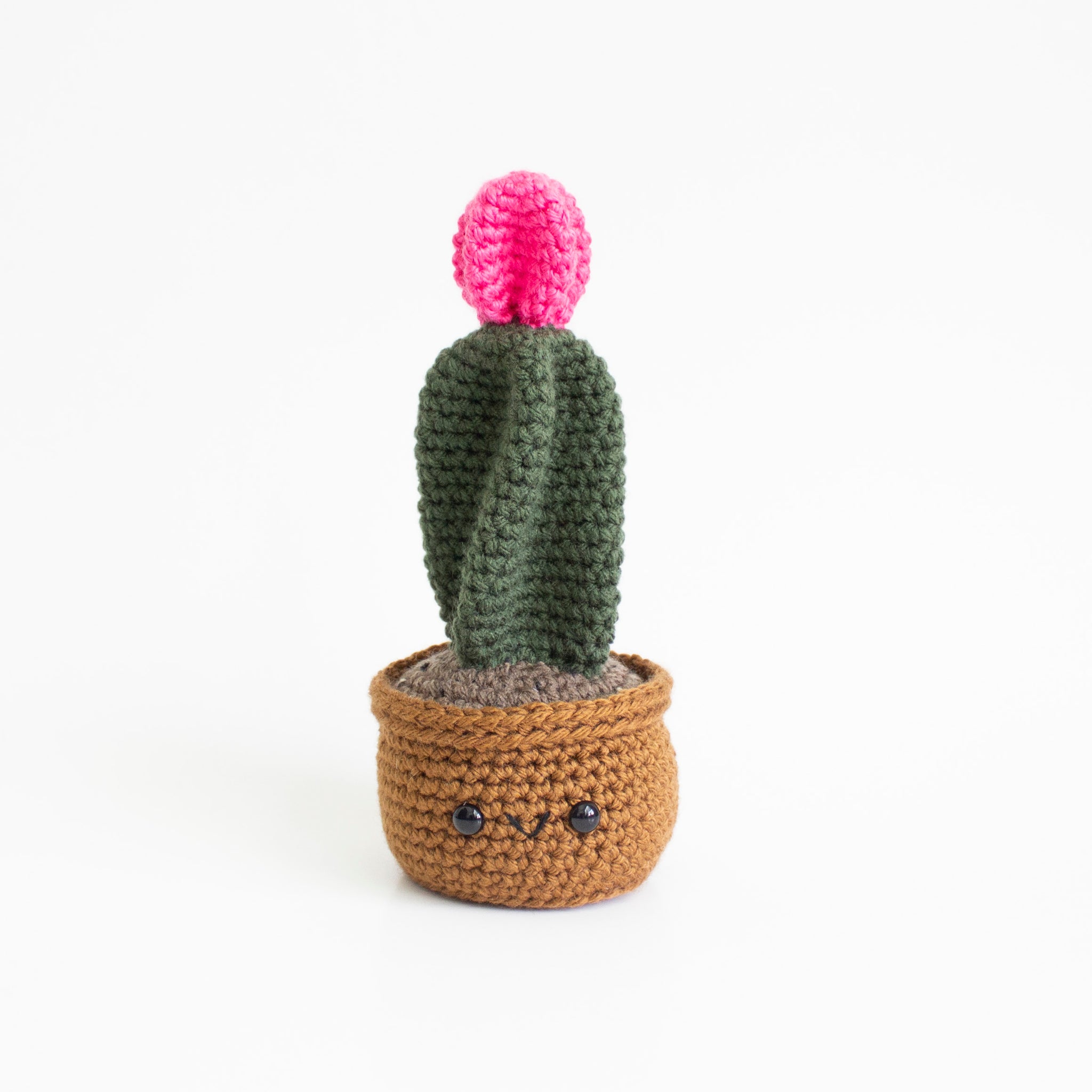 Moonball Cactus Crochet Pattern - Amigurumi Succulent