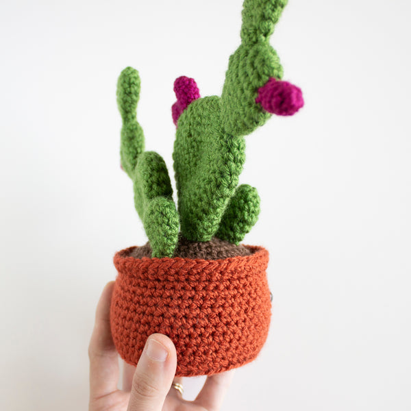 Prickly Pear Crochet Pattern - Succulent House Plant Crafts