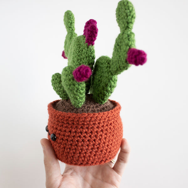 Amigurumi Succulent - Crochet Home Decor DIY