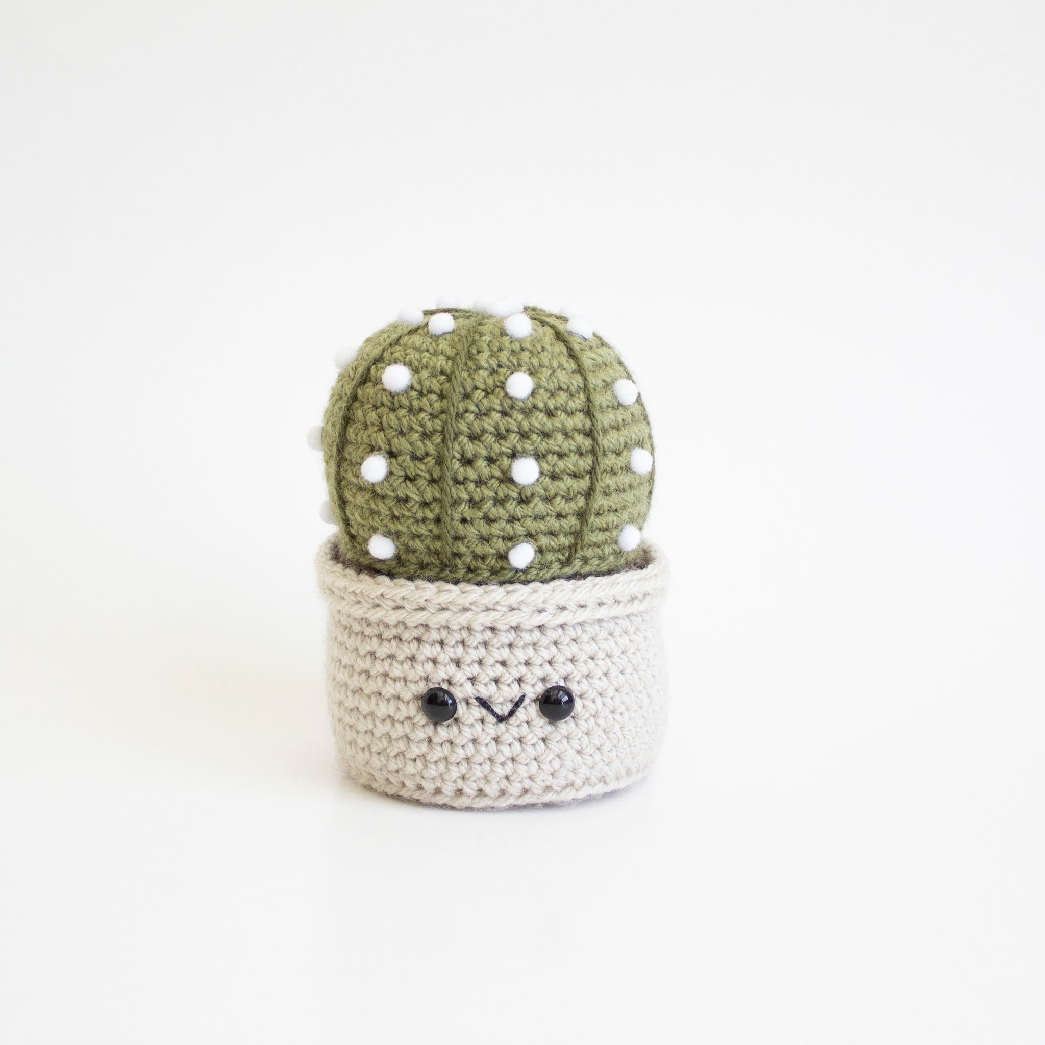Sand Dollar Crochet Cactus Pattern - Amigurumi House Plant