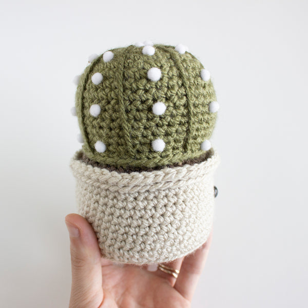 Succulent Crochet Cactus Pattern - Easy Amigurumi Sand Dollar Crafts